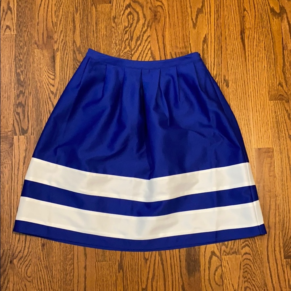 Blue Skirt with White Stripes